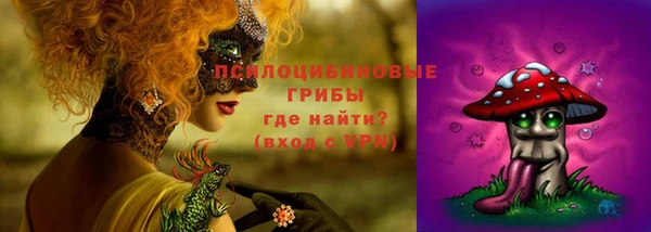 прущие крисы Беломорск