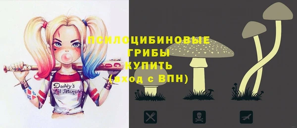 прущие крисы Беломорск