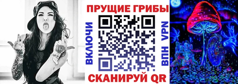 Псилоцибиновые грибы мицелий мега вход Полесск